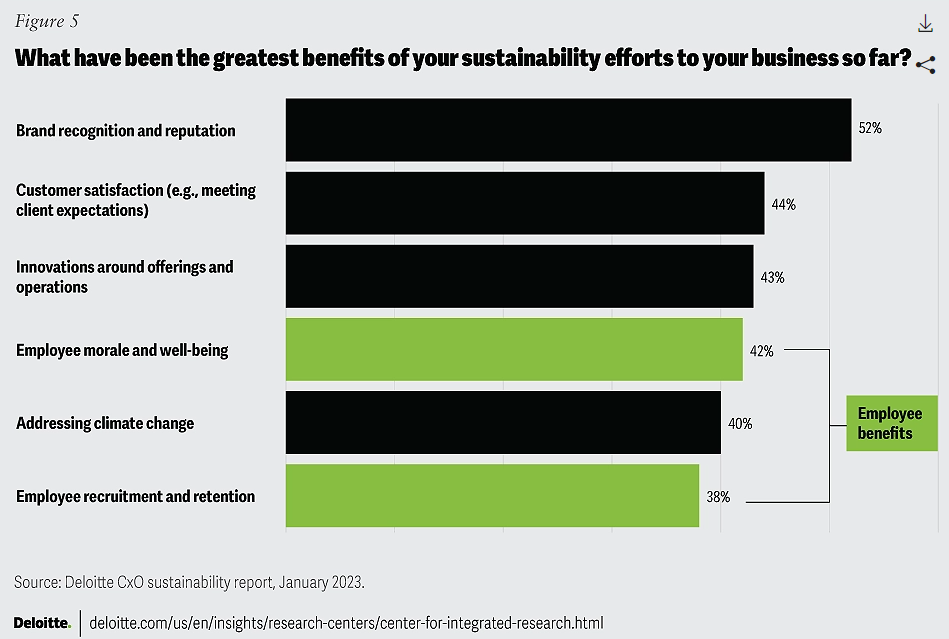 Deloitte CxO sustainability report